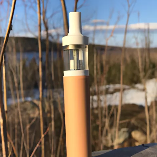 Disposable Vape in Canada